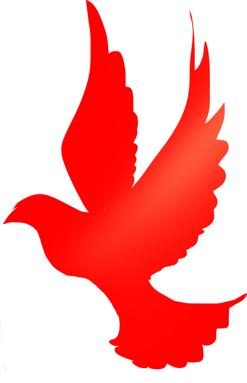 爱国奋斗 强国励志 _ 好书推荐短视频创作大赛 爱国奋斗 强国励志 _ 好书推荐短视频创作大赛